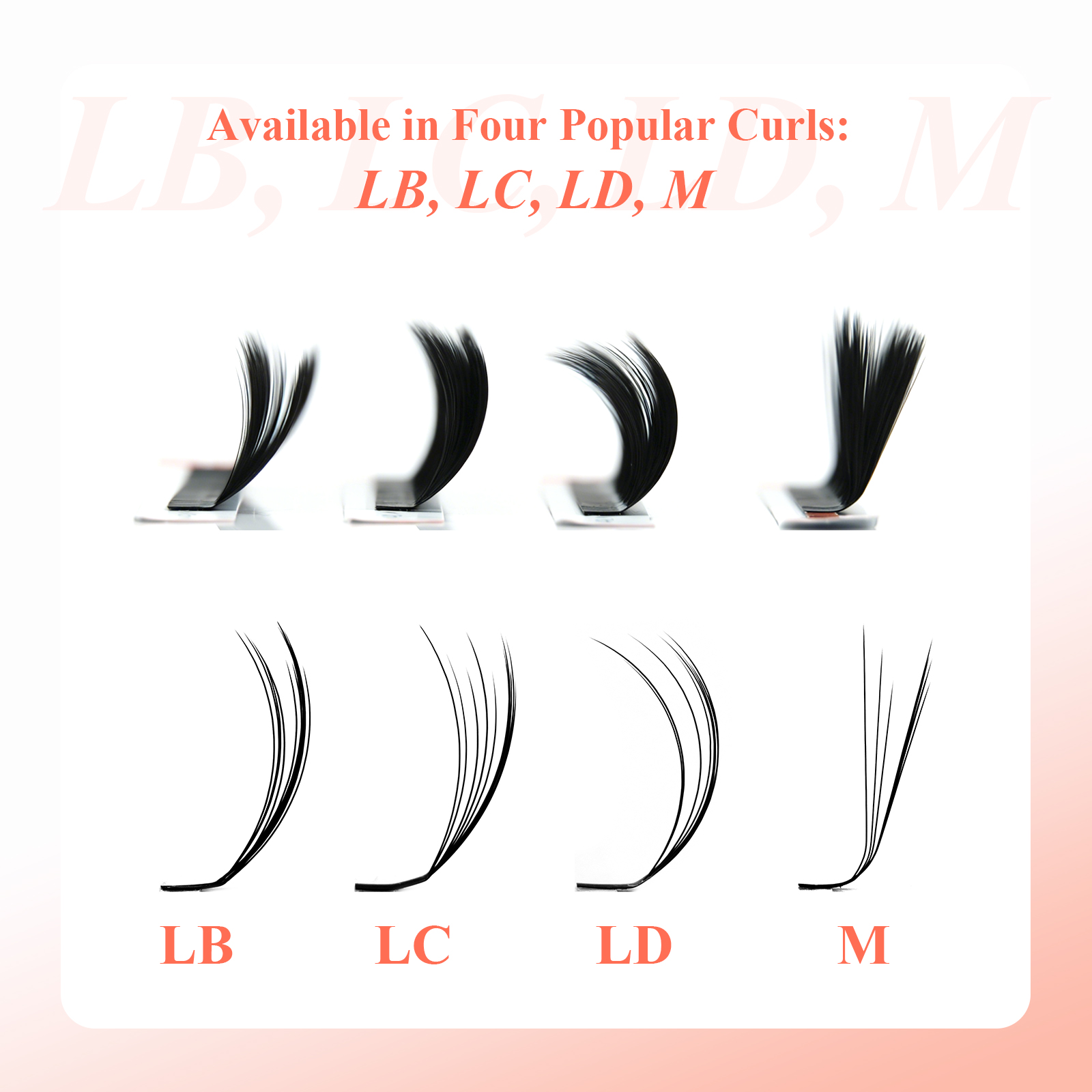 IFORME 와일드 멀티 레이어드 카멜리아 속눈썹 프리 - Eyelash Extension Yy 리뷰 및 가격