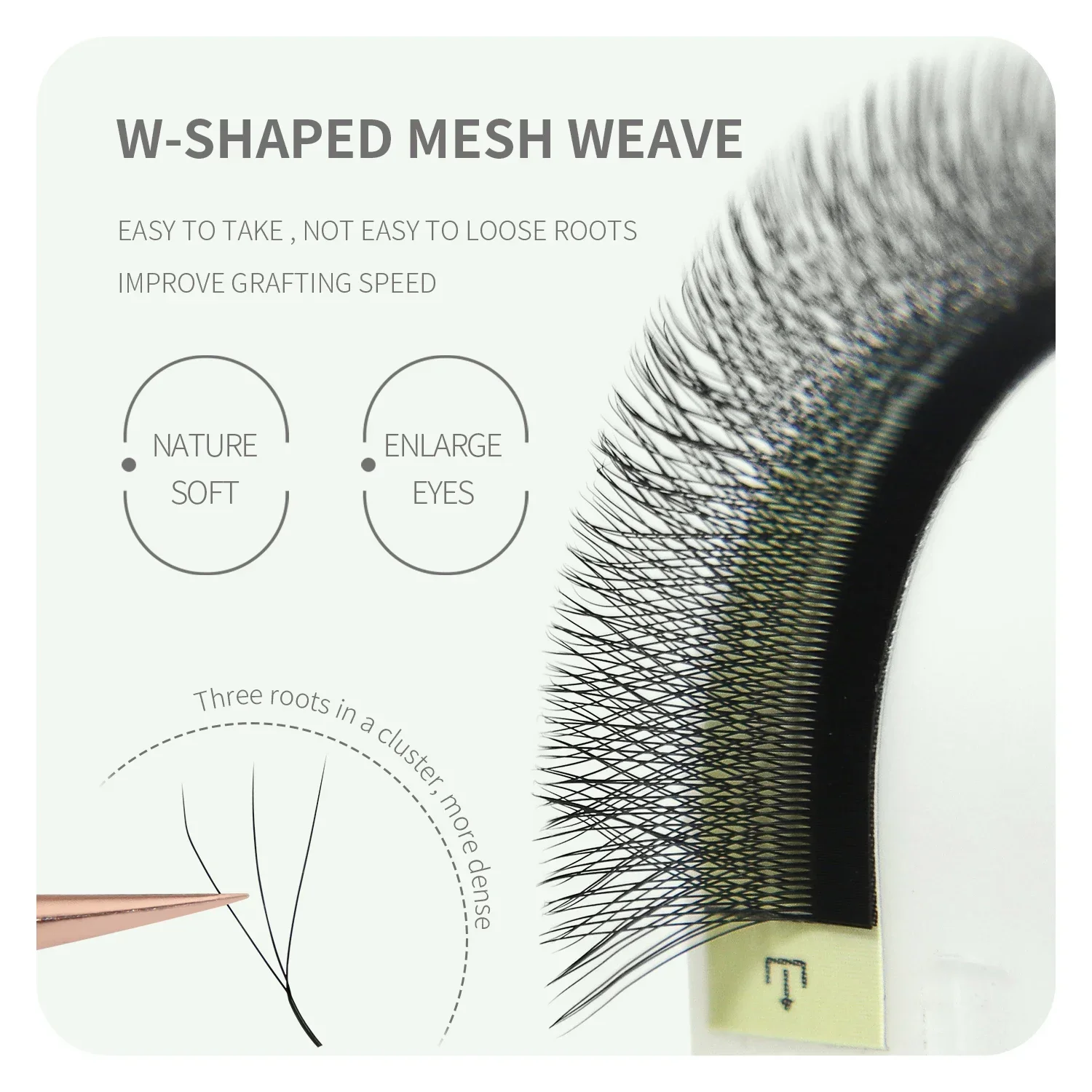 ANNAFRIS 브라운 W 모양 속눈썹 연장 2D 3D - Eyelash Extension Yy 리뷰 및 가격